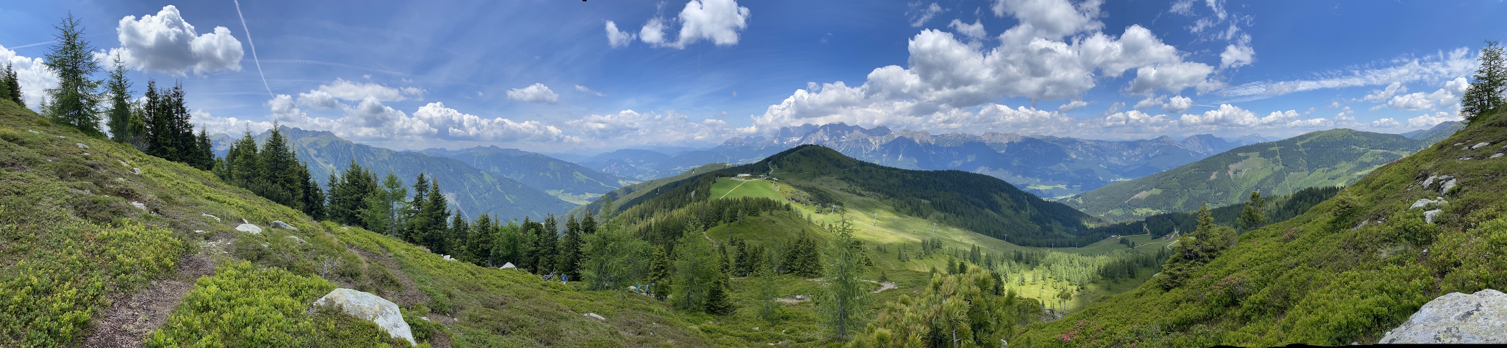 Sommerparanoia